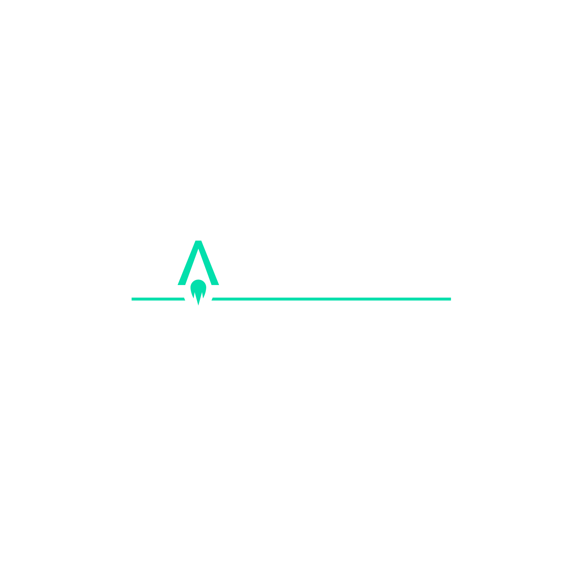 Launch Support Services LLC